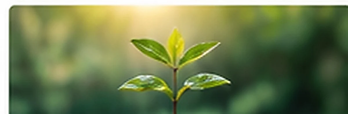 Innovation et nouvelles pratiques